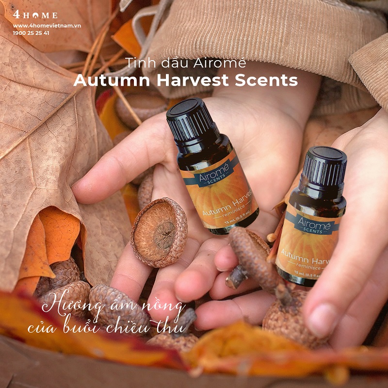 TINH DẦU AUTUMN HARVEST SCENTS - VỊ ẤM NỒNG CỦA BUỔI CHIỀU THU