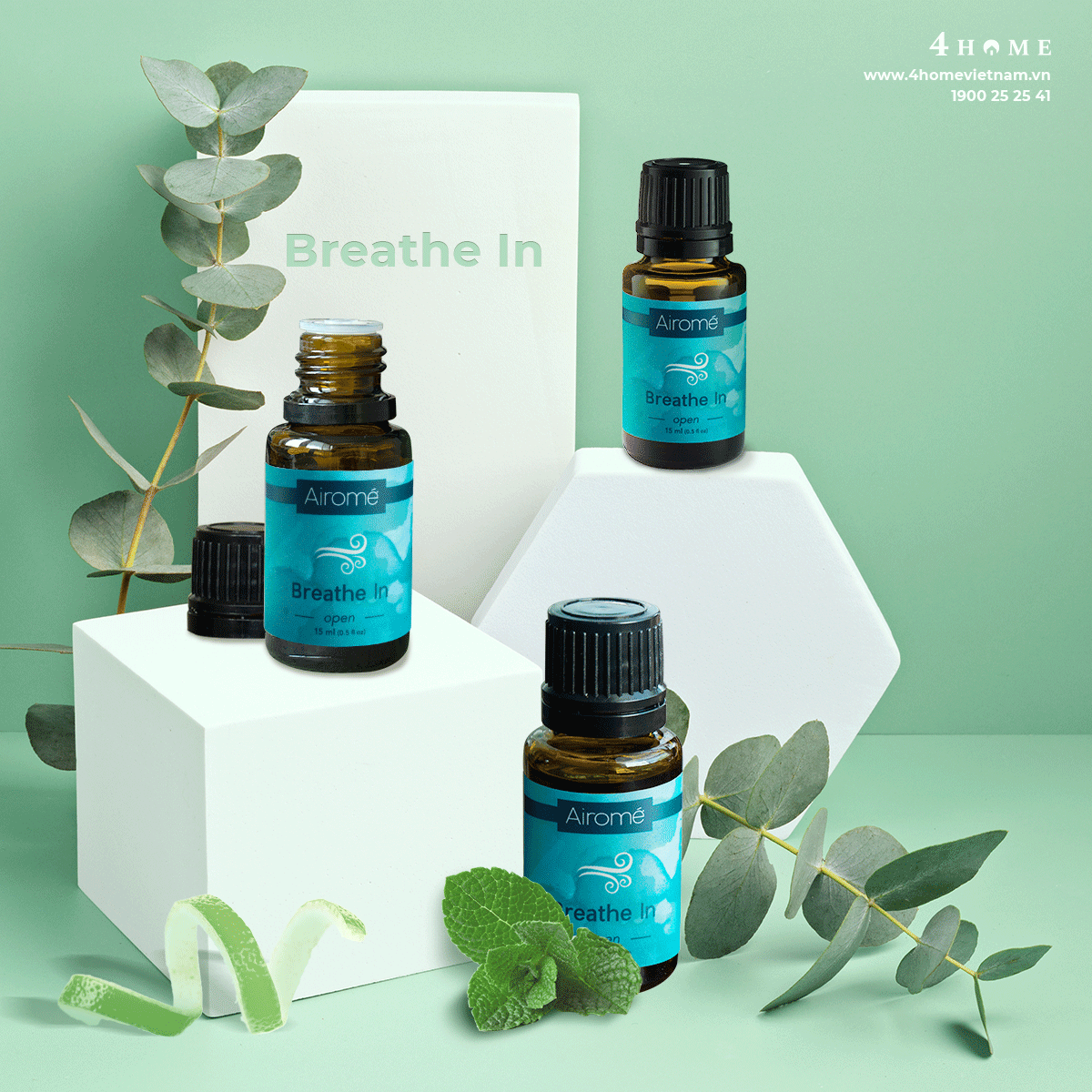TINH DẦU BREATHE IN - BẦU KHÔNG KHÍ TRONG LÀNH, THANH KHIẾT TINH DẦU BREATHE IN - BẦU KHÔNG KHÍ TRONG LÀNH, THANH KHIẾT