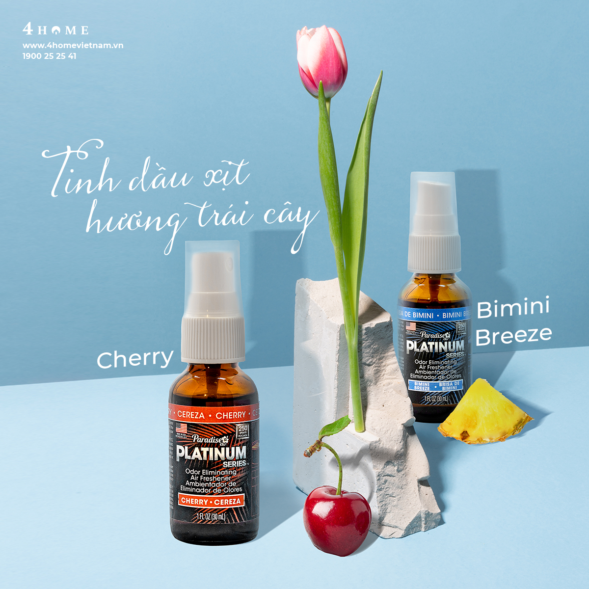 HƯƠNG TRÁI CÂY TƯƠI MÁT CHO CĂN BẾP NGÁT HƯƠNG THƠM HƯƠNG TRÁI CÂY TƯƠI MÁT CHO CĂN BẾP NGÁT HƯƠNG THƠM