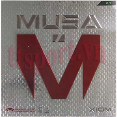 Mặt vợt Xiom Musa