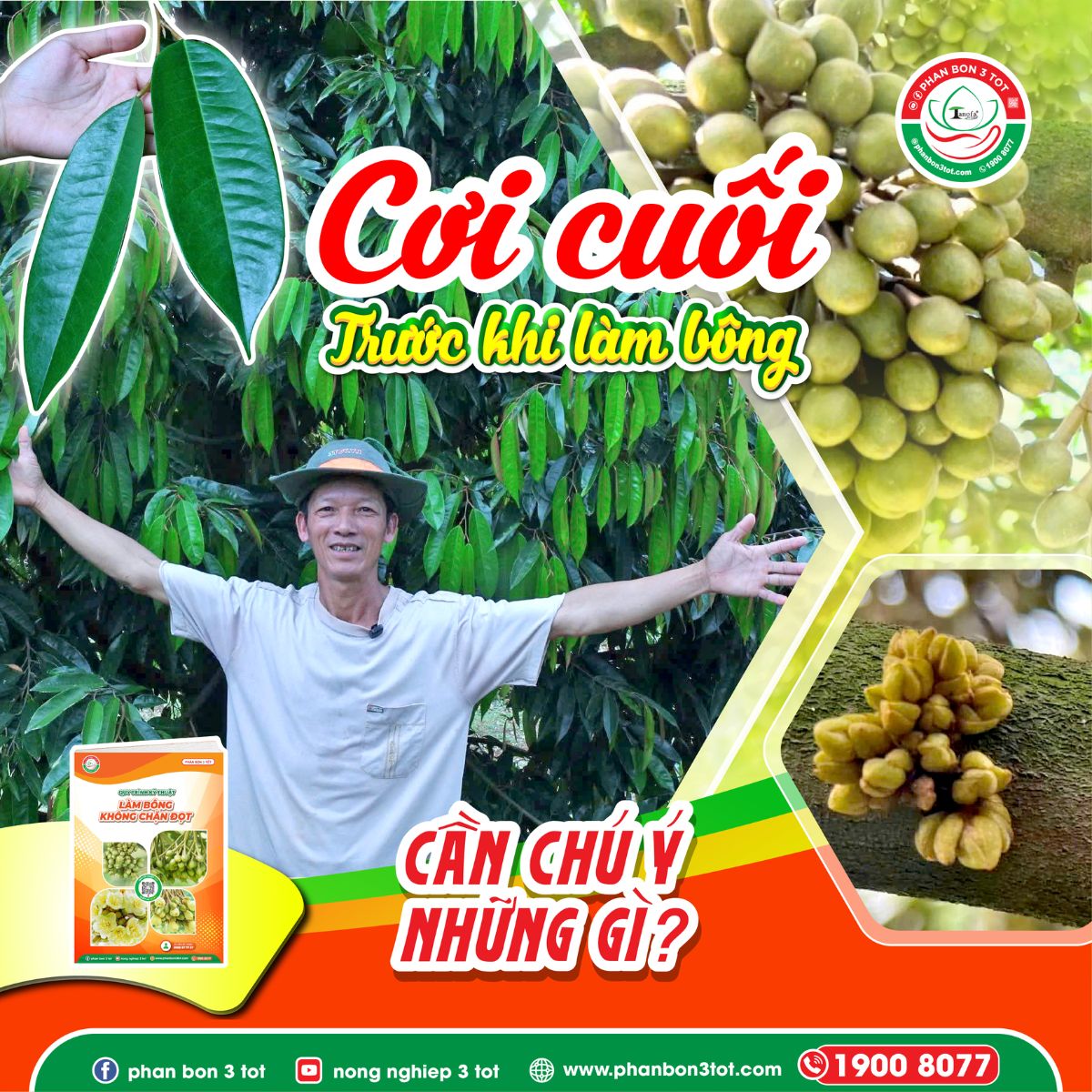 CHĂM CƠI CUỐI SẦU RIÊNG TRƯỚC KHI LÀM BÔNG - BÍ QUYẾT CHO MÙA HOA ĐỒNG LOẠT! CHĂM CƠI CUỐI SẦU RIÊNG TRƯỚC KHI LÀM BÔNG - BÍ QUYẾT CHO MÙA HOA ĐỒNG LOẠT!