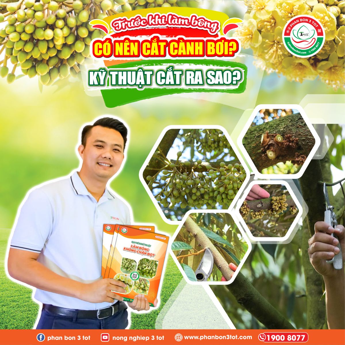 TRƯỚC KHI LÀM BÔNG CÓ NÊN CẮT CÀNH BƠI? KỸ THUẬT CẮT RA SAO?