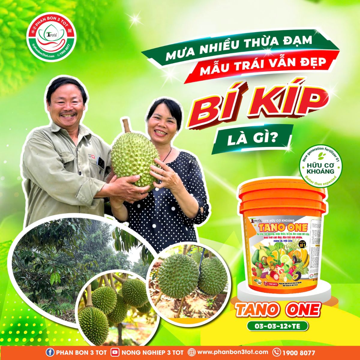 MƯA NHIỀU THỪA ĐẠM - MẪU TRÁI VẪN ĐẸP - BÍ KÍP LÀ GÌ? MƯA NHIỀU THỪA ĐẠM - MẪU TRÁI VẪN ĐẸP - BÍ KÍP LÀ GÌ?