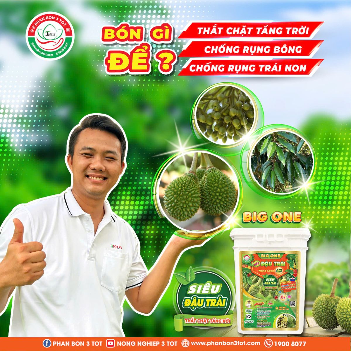 BÓN GÌ ĐỂ THẮT CHẶT TẦNG RỜI, CHỐNG RỤNG BÔNG, RỤNG TRÁI NON? BÓN GÌ ĐỂ THẮT CHẶT TẦNG RỜI, CHỐNG RỤNG BÔNG, RỤNG TRÁI NON?