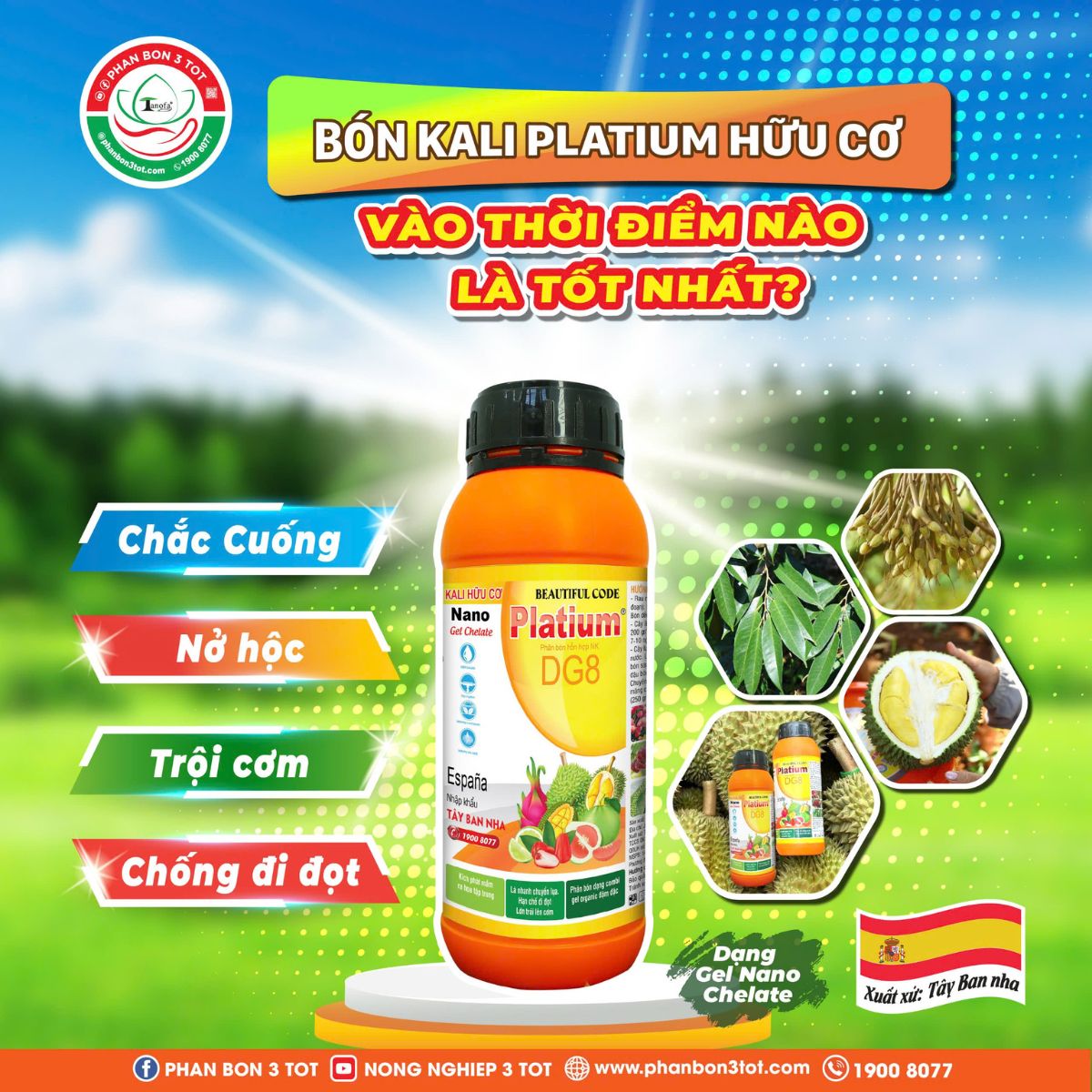 BÓN KALI PLATIUM HỮU CƠ THỜI ĐIỂM NÀO LÀ TỐT NHẤT? BÓN KALI PLATIUM HỮU CƠ THỜI ĐIỂM NÀO LÀ TỐT NHẤT?