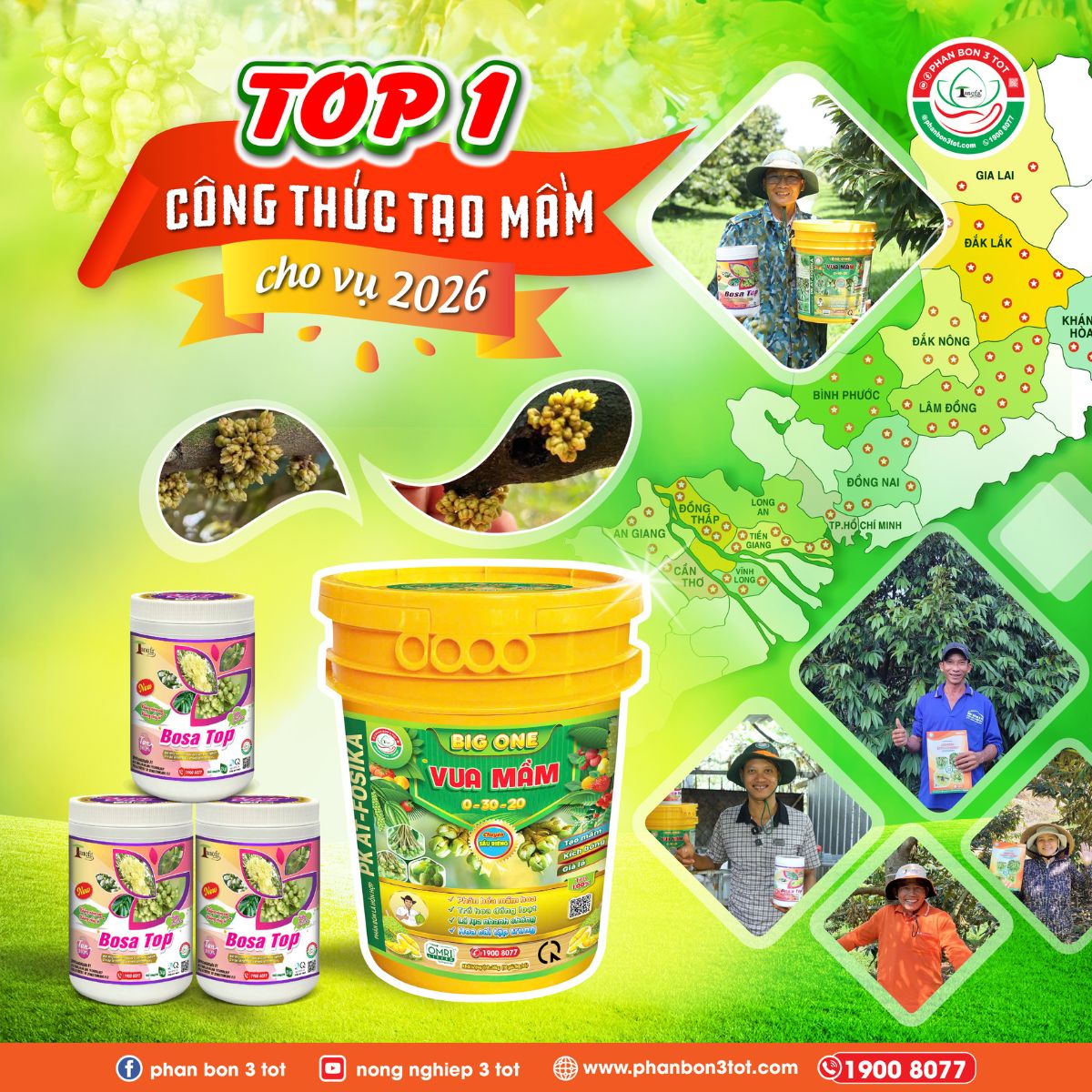 TOP 1 CÔNG THỨC TẠO MẦM LÀM BÔNG CHO VỤ BÔNG 2026!