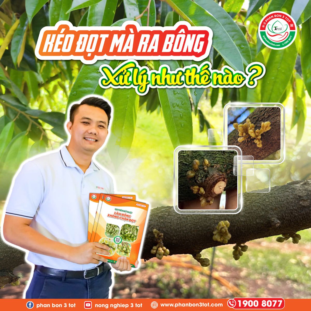 ĐANG KÉO ĐỌT MÀ RA BÔNG - XỬ LÝ NHƯ THẾ NÀO? 