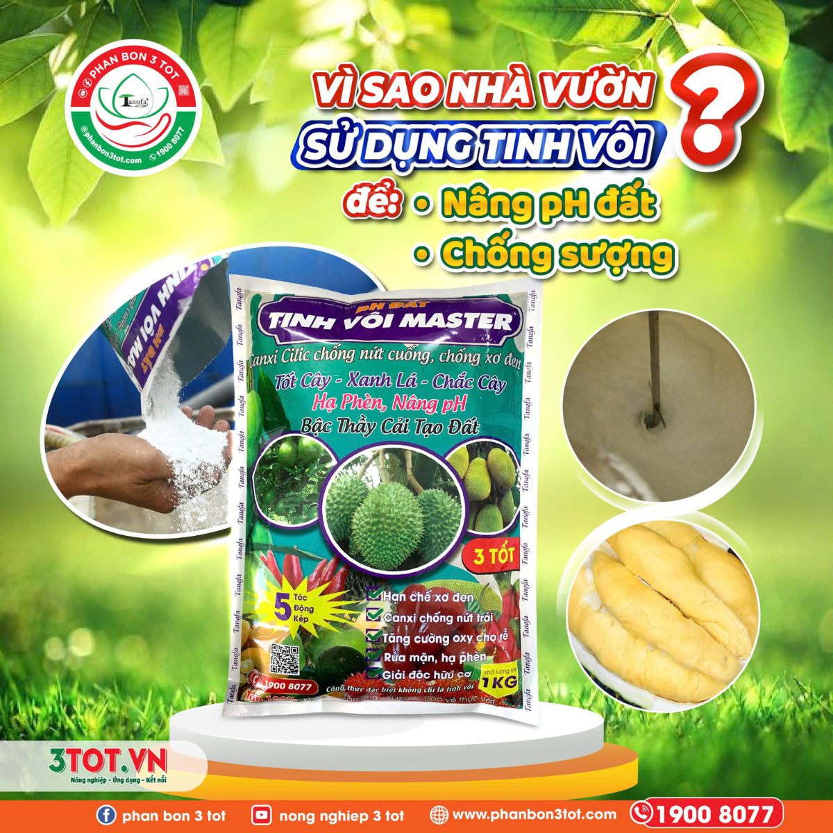 TĂNG PH - GIẢM SƯỢNG - CẢI TẠO ĐẤT: TINH VÔI LÀM ĐƯỢC GÌ? TĂNG PH - GIẢM SƯỢNG - CẢI TẠO ĐẤT: TINH VÔI LÀM ĐƯỢC GÌ?