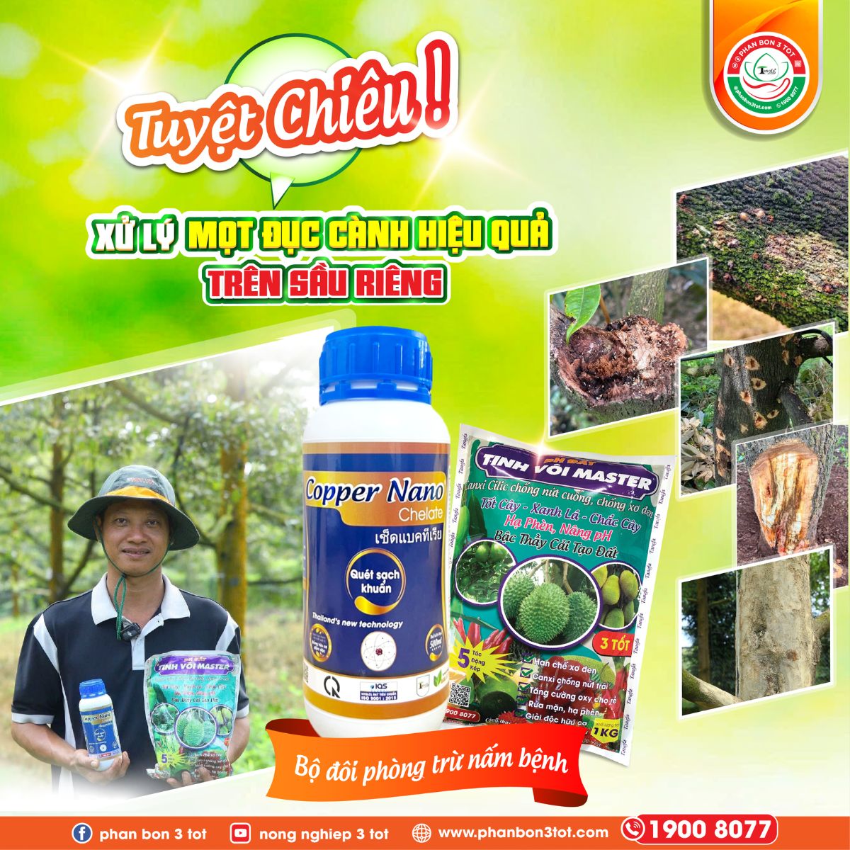 TUYỆT CHIÊU XỬ LÝ MỌT ĐỤC CÀNH HIỆU QUẢ TRÊN SẦU RIÊNG