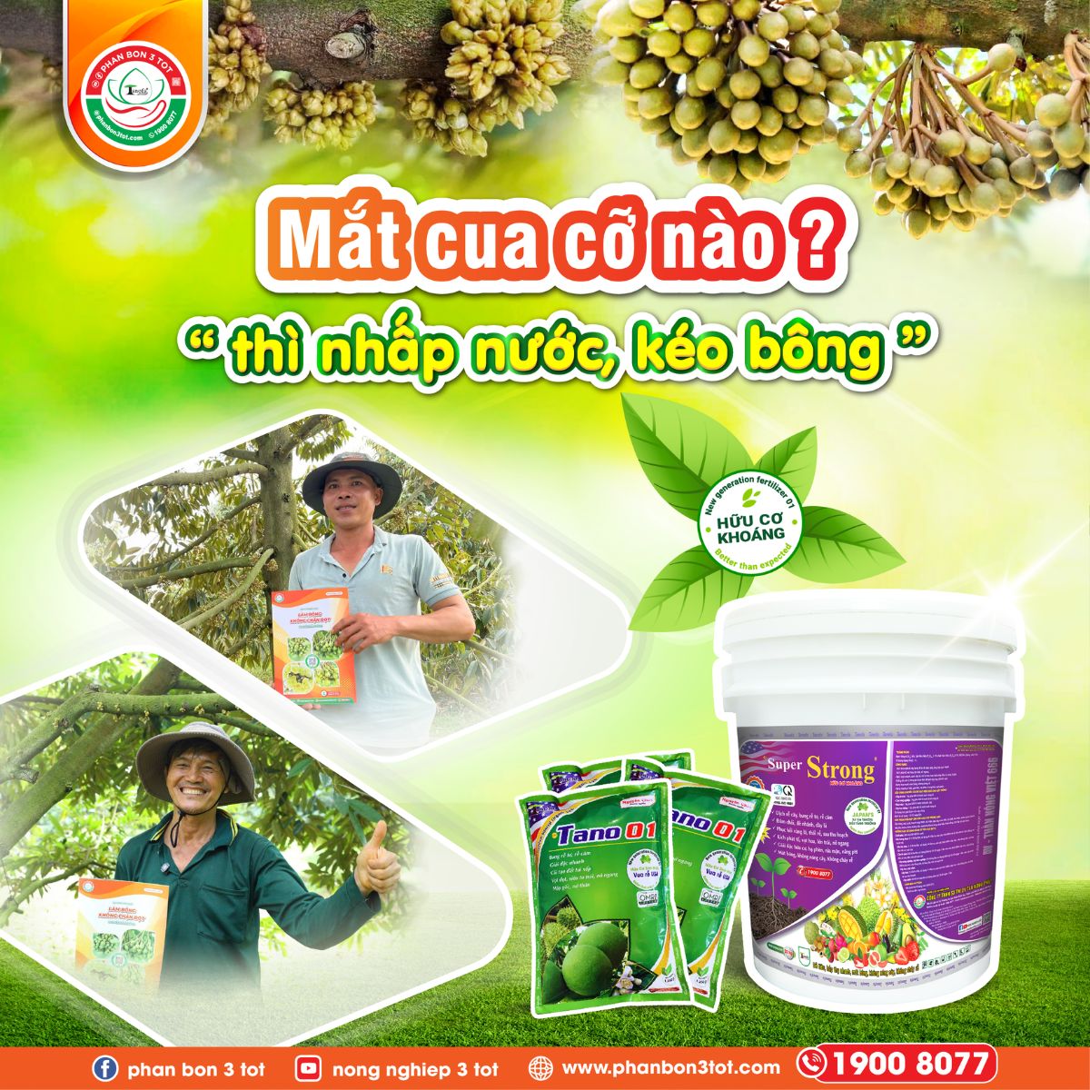 MẮT CUA CỠ NÀO THÌ NHẤP NƯỚC, KÉO BÔNG CHO HIỆU QUẢ? 