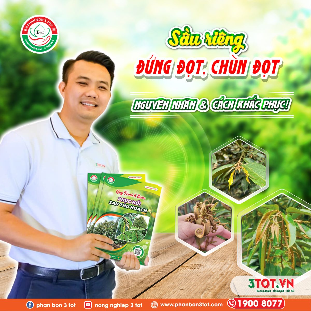 SẦU RIÊNG ĐỨNG ĐỌT, CHÙN ĐỌT SAU THU HOẠCH – NGUYÊN NHÂN & GIẢI PHÁP PHỤC HỒI!
