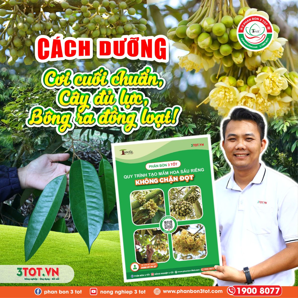 CÁCH DƯỠNG CƠI CUỐI CHUẨN, CÂY ĐỦ LỰC, BÔNG RA ĐỒNG LOẠT! CÁCH DƯỠNG CƠI CUỐI CHUẨN, CÂY ĐỦ LỰC, BÔNG RA ĐỒNG LOẠT!