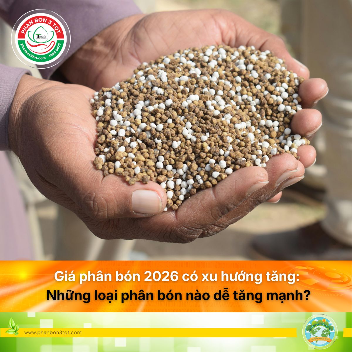 Giá phân bón 2026 có xu hướng tăng: Những loại phân bón nào dễ tăng mạnh?