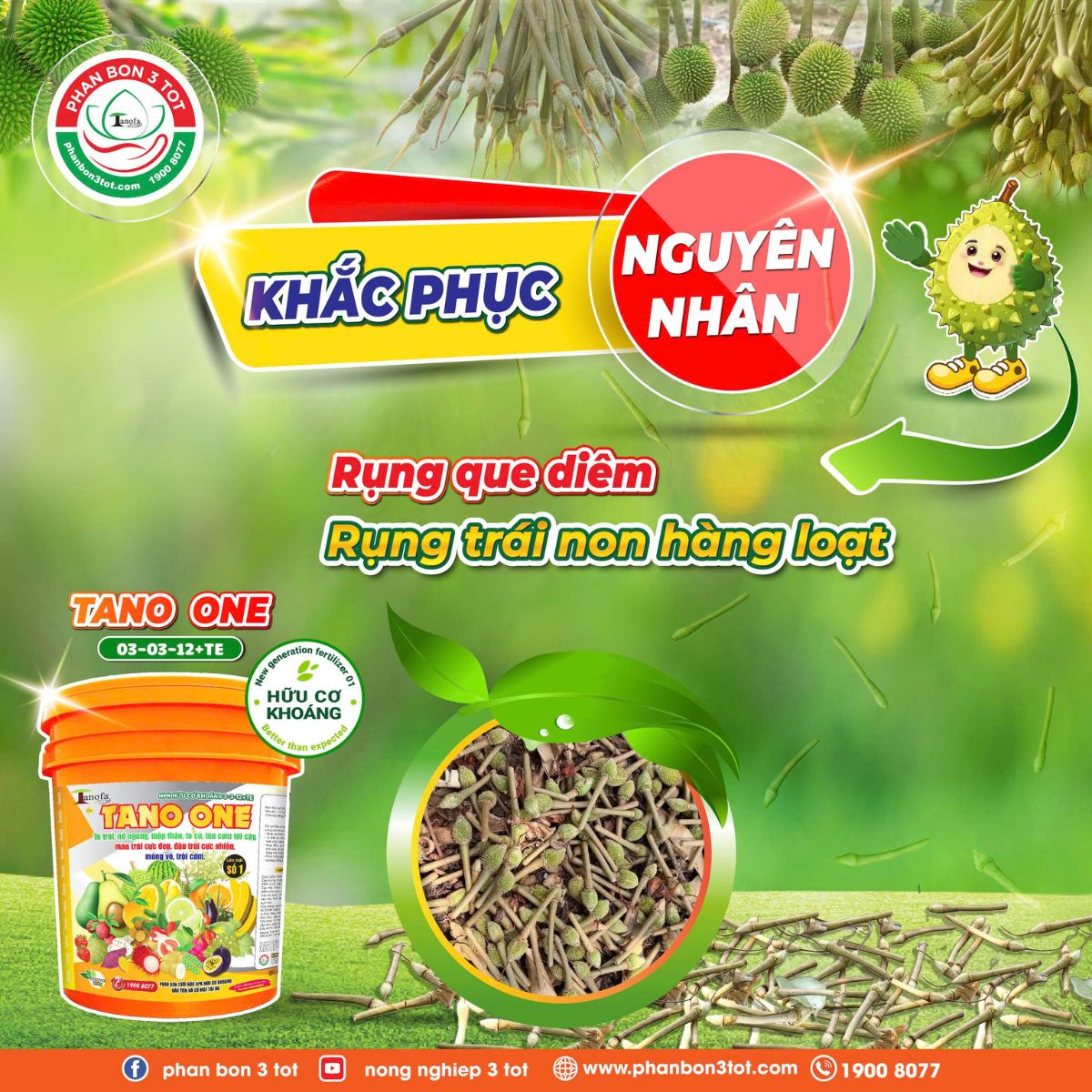 Rụng que diêm, rụng trái non sầu riêng: Nguyên nhân & cách khắc phục hiệu quả