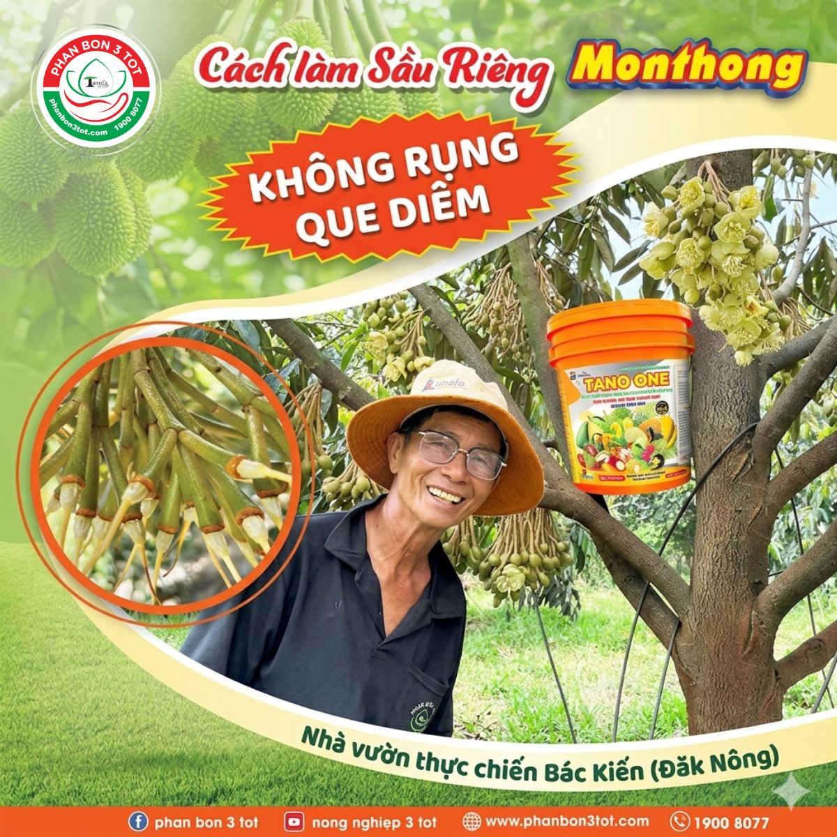 Trước Xổ Nhụy Sầu Riêng Làm Gì Để Hạn Chế Rụng Que Diêm? Kinh Nghiệm Nhà Vườn Đắk Nông