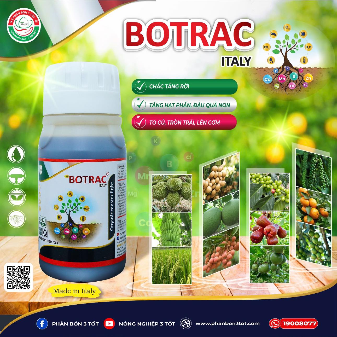 BOTRAC ITALY ĐẬU TRÁI TỐT, GIẢM RỤNG TRÁI NON 2025 BOTRAC ITALY ĐẬU TRÁI TỐT, GIẢM RỤNG TRÁI NON 2025
