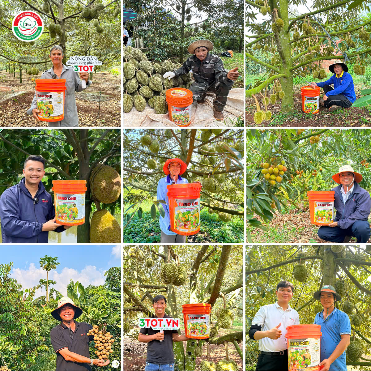 XÔ TANO ONE - BÍ QUYẾT NUÔI TRÁI NỞ HỘC, XANH GAI  XÔ TANO ONE - BÍ QUYẾT NUÔI TRÁI NỞ HỘC, XANH GAI