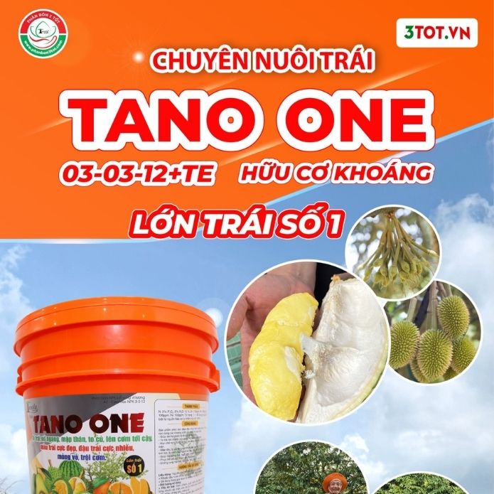 Quy trình Chuyên nuôi trái sầu riêng bằng Tano One hữu cơ khoáng<br/>03-03-12 + TE Quy trình Chuyên nuôi trái sầu riêng bằng Tano One hữu cơ khoáng<br/>03-03-12 + TE