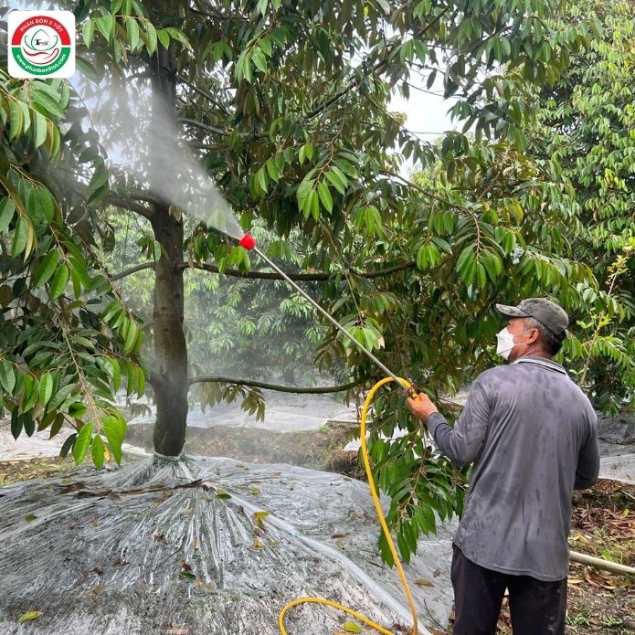 SỬ DỤNG PHÂN BÓN LÁ TIẾT KIỆM, AN TOÀN, HIỆU QUẢ SỬ DỤNG PHÂN BÓN LÁ TIẾT KIỆM, AN TOÀN, HIỆU QUẢ