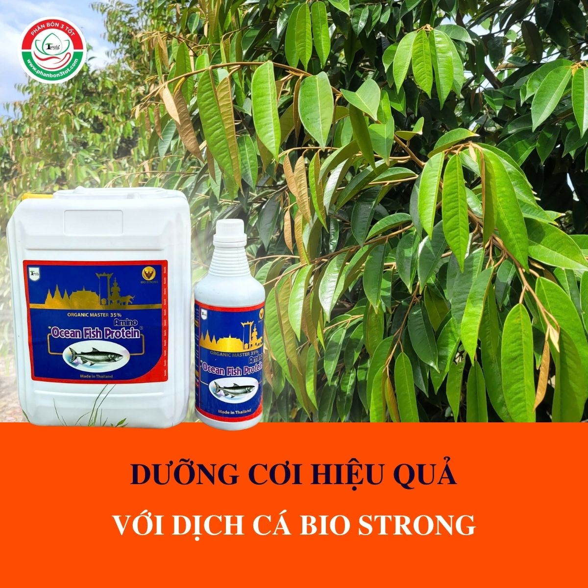 DƯỠNG CƠI HIỆU QUẢ VỚI DỊCH CÁ BIO STRONG DƯỠNG CƠI HIỆU QUẢ VỚI DỊCH CÁ BIO STRONG