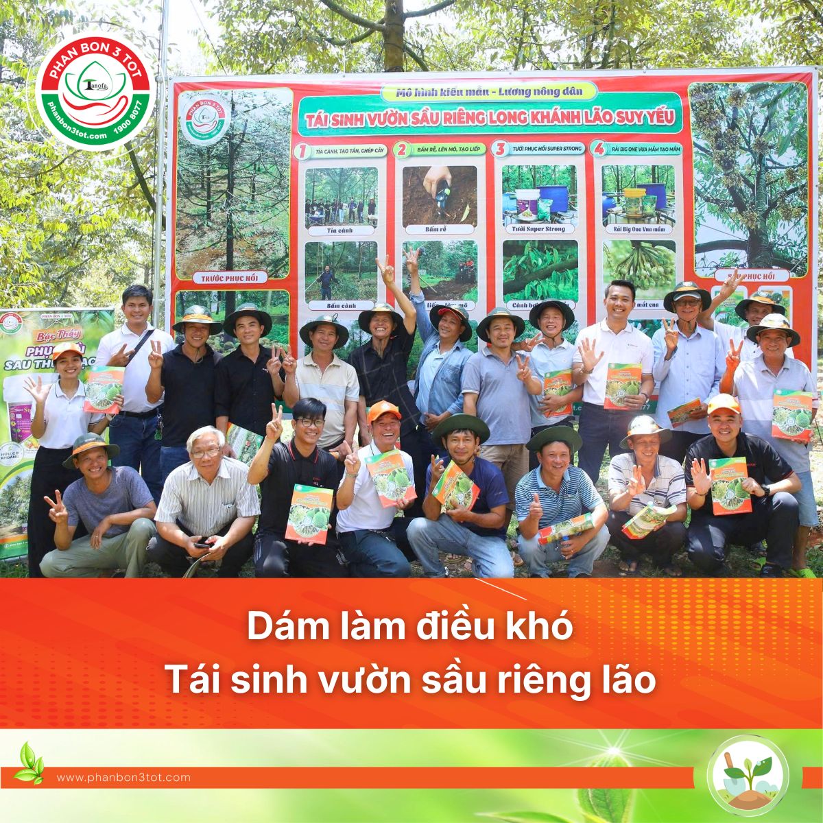 Từ Suy Kiệt Đến Trĩu Bông: Hành Trình Tái Sinh Vườn Sầu Riêng Không Phân Hóa Học