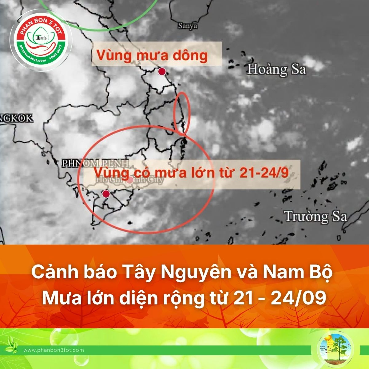 MƯA LỚN TÂY NGUYÊN VÀ NAM BỘ 21-24/9: NHÀ VƯỜN CẦN CHỦ ĐỘNG ỨNG PHÓ