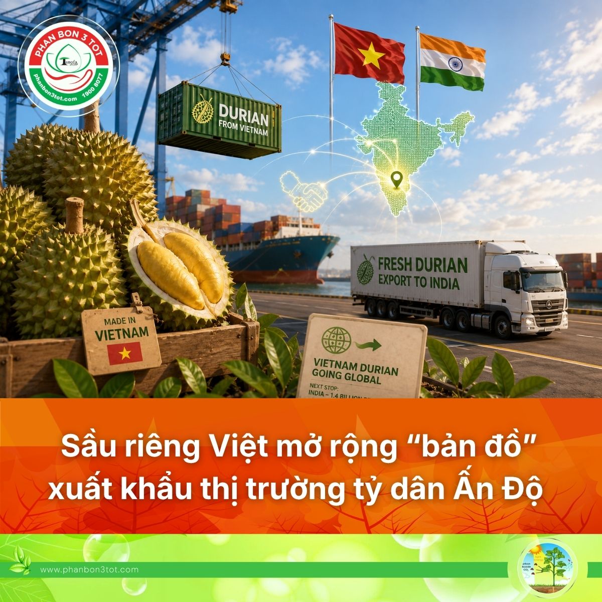Sầu Riêng Việt Nam Có Thêm Cơ Hội Xuất Khẩu Sang Ấn Độ Từ Tháng 7/2026 