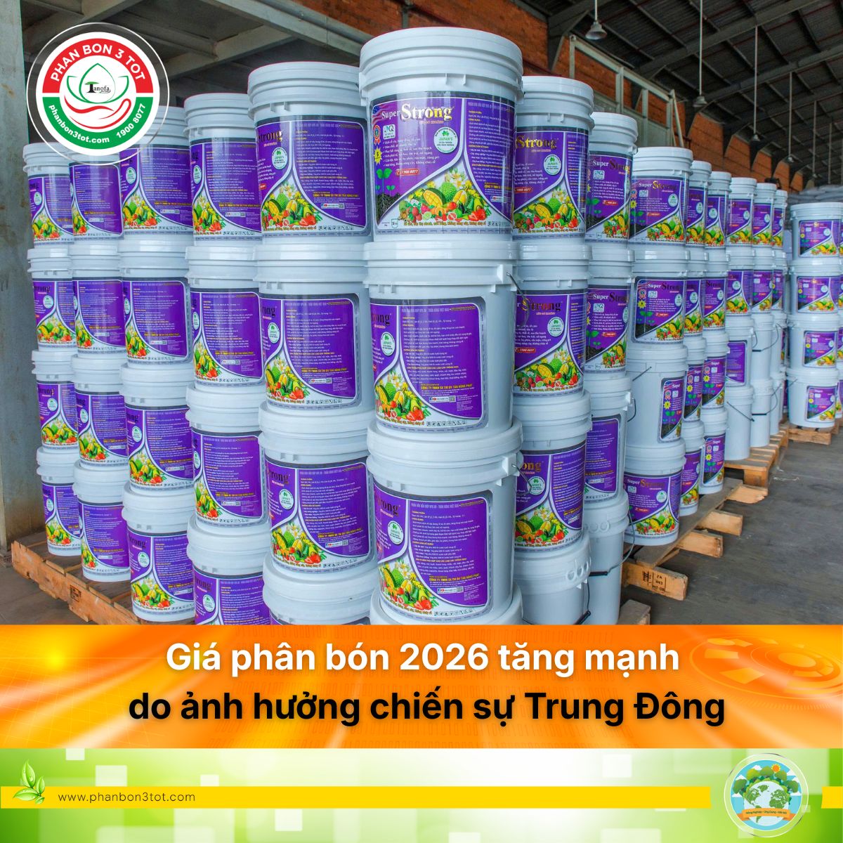 Giá phân bón tăng mạnh do ảnh hưởng của chiến sự Trung Đông