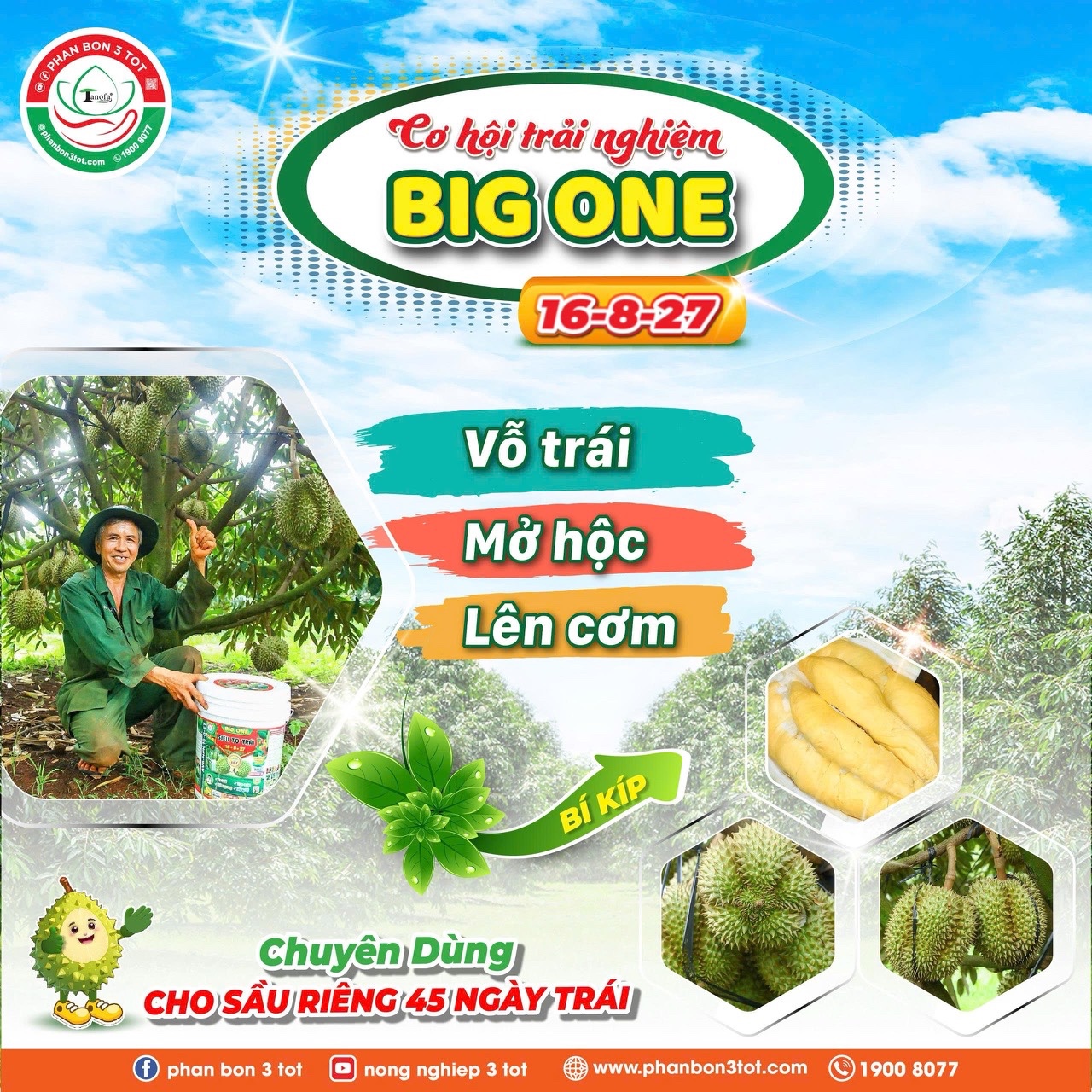 CÔNG THỨC CHỐNG MÉO TRÁI, NỞ HỘC, LÊN CƠM CHO SẦU RIÊNG 2 CỔ TRÁI CÔNG THỨC CHỐNG MÉO TRÁI, NỞ HỘC, LÊN CƠM CHO SẦU RIÊNG 2 CỔ TRÁI