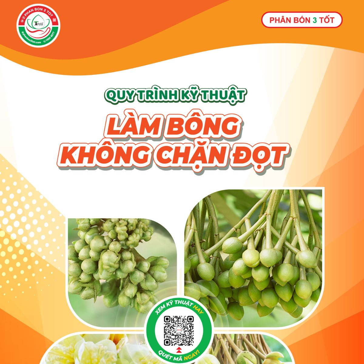 Nhận Quy Trình Làm Bông Không Chặn Đọt