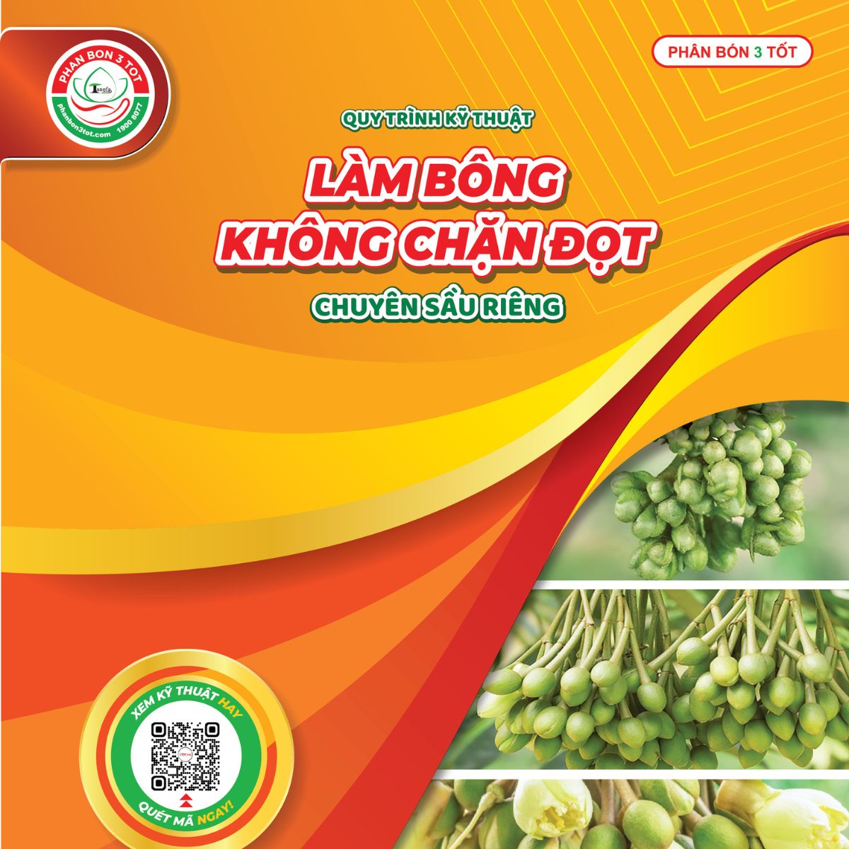 Nhận Quy Trình Làm Bông Không Chặn Đọt