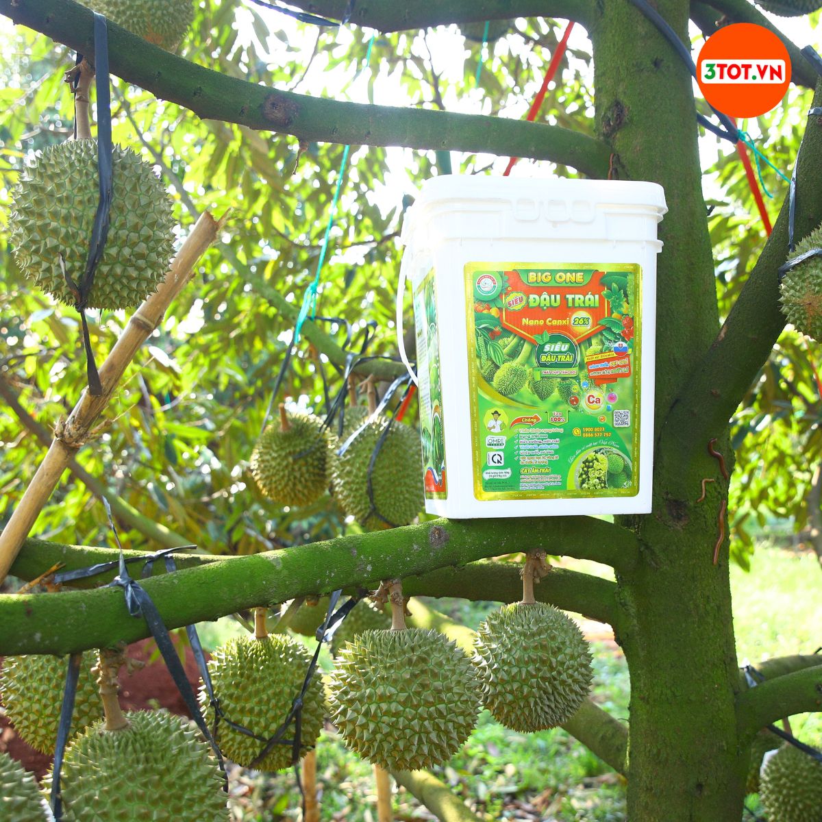 VAI TRÒ CỦA CANXI TRONG GIAI ĐOẠN NUÔI BÔNG, DƯỠNG TRÁI VAI TRÒ CỦA CANXI TRONG GIAI ĐOẠN NUÔI BÔNG, DƯỠNG TRÁI