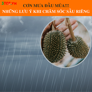 Phòng Trừ Nấm Bệnh Trong Đầu Mùa Mưa Quan Trọng Như Thế Nào?