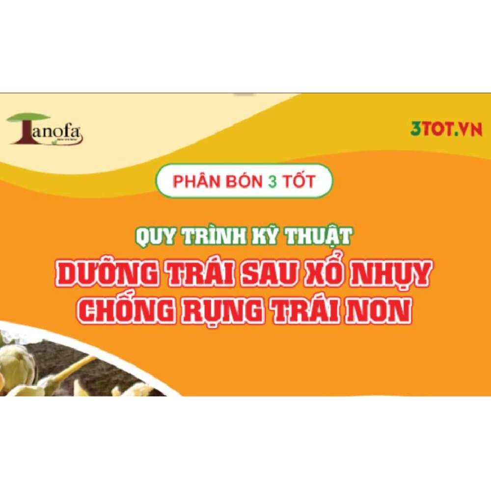 Dưỡng trái sau xổ nhuỵ - Chống rụng trái non Dưỡng trái sau xổ nhuỵ - Chống rụng trái non
