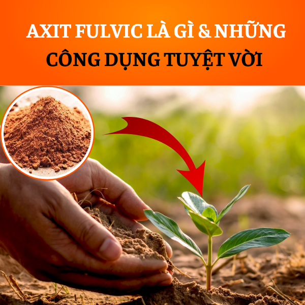 AXIT FULVIC LÀ GÌ VÀ NHỮNG CÔNG DỤNG TUYỆT VỜI CỦA AXIT FULVIC