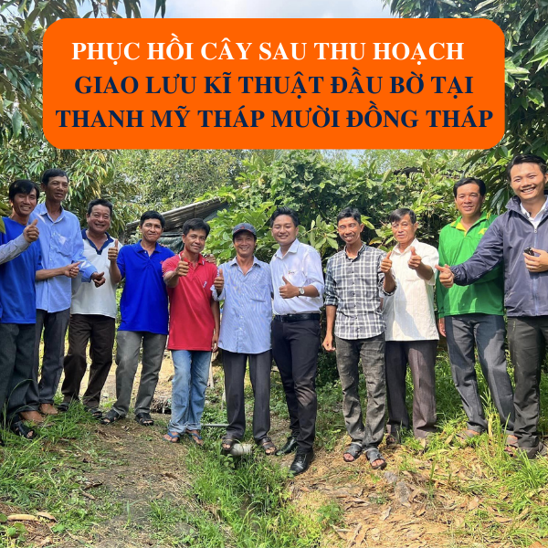 Phục Hồi Cây Sau Thu Hoạch - Giao Lưu Kĩ Thuật Đầu Bờ Tại Thanh Mỹ - Tháp Mười - Đồng Tháp Phục Hồi Cây Sau Thu Hoạch - Giao Lưu Kĩ Thuật Đầu Bờ Tại Thanh Mỹ - Tháp Mười - Đồng Tháp