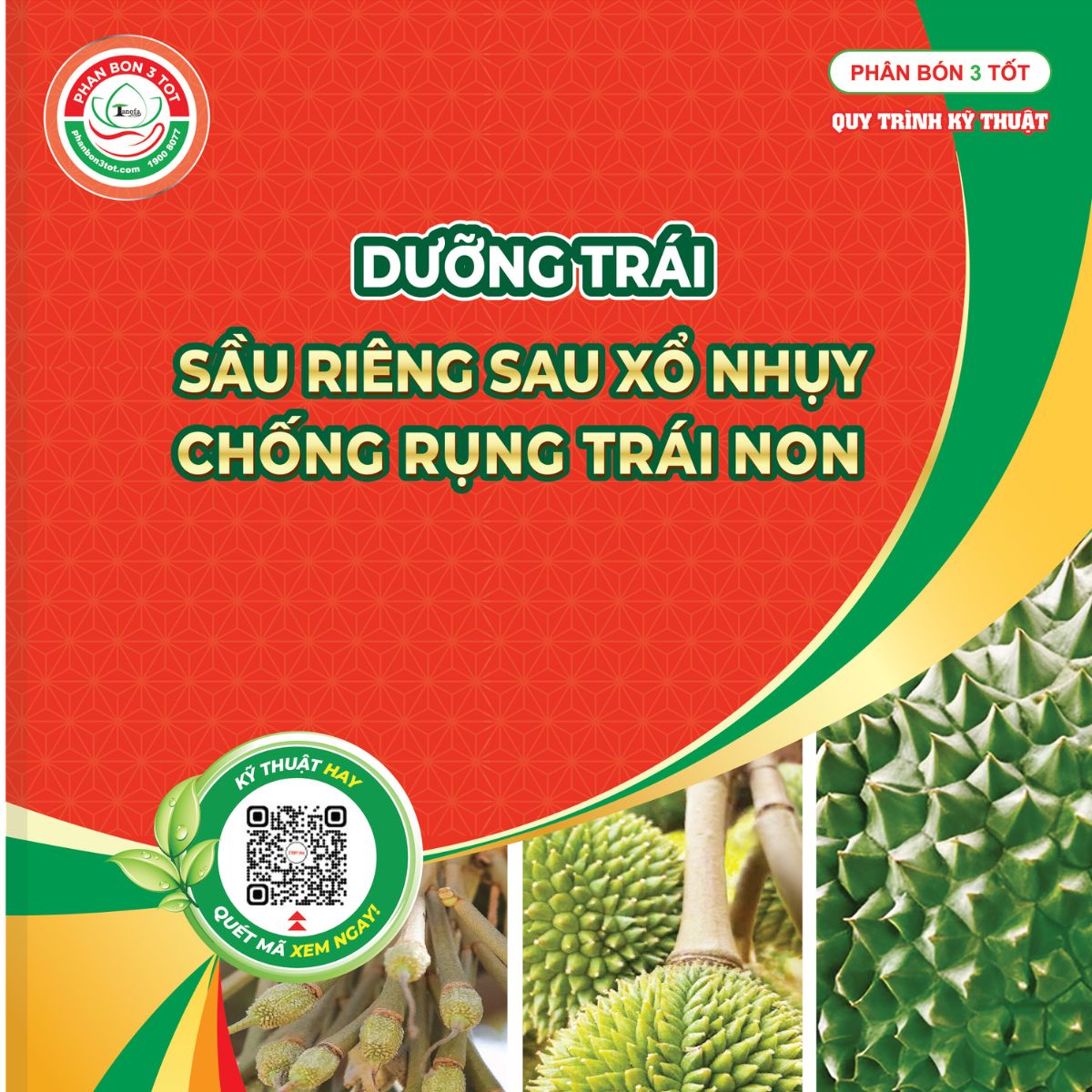 QUY TRÌNH DƯỠNG TRÁI SAU XỔ NHỤY - CHỐNG RỤNG TRÁI NON