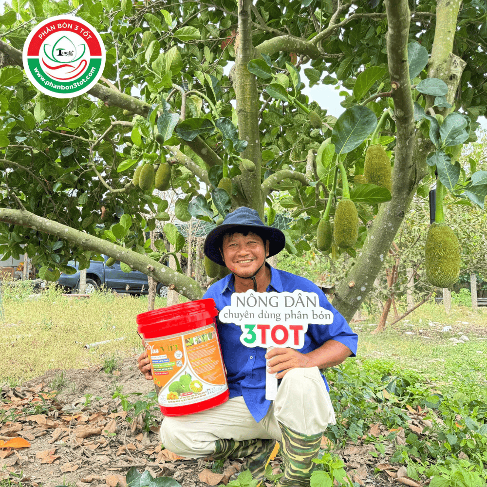 KỸ THUẬT CHĂM SÓC MÍT RA TRÁI QUANH NĂM KỸ THUẬT CHĂM SÓC MÍT RA TRÁI QUANH NĂM