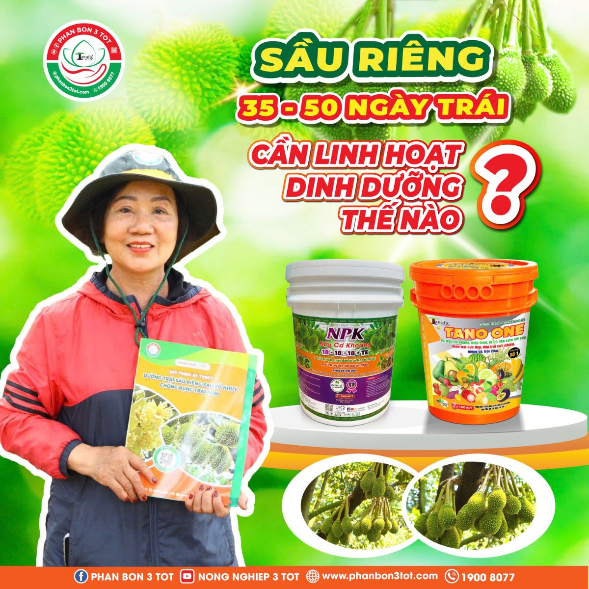 SẦU RIÊNG 35-50 NGÀY TRÁI: CẦN LINH HOẠT DINH DƯỠNG THẾ NÀO? SẦU RIÊNG 35-50 NGÀY TRÁI: CẦN LINH HOẠT DINH DƯỠNG THẾ NÀO?