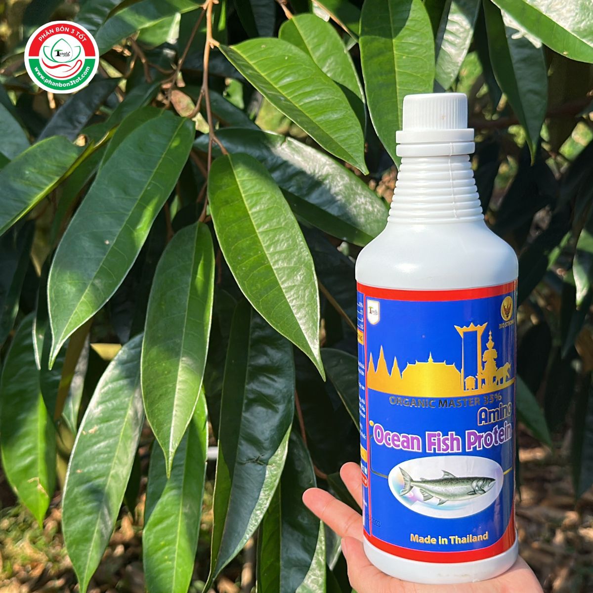 CÁCH SỬ DỤNG ĐẠM CÁ HỮU CƠ - DỊCH CÁ BIO STRONG CỦA NHÀ VƯỜN LONG KHÁNH CÁCH SỬ DỤNG ĐẠM CÁ HỮU CƠ - DỊCH CÁ BIO STRONG CỦA NHÀ VƯỜN LONG KHÁNH