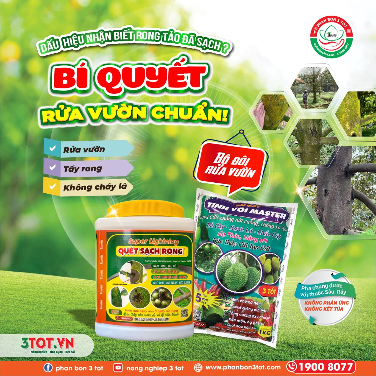 DẤU HIỆU NHẬN BIẾT RONG TẢO ĐÃ SẠCH? BÍ QUYẾT RỬA VƯỜN CHUẨN! 