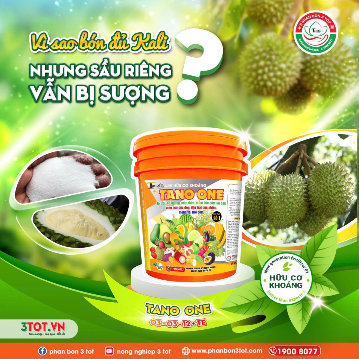 VÌ SAO BÓN ĐỦ KALI NHƯNG SẦU RIÊNG VẪN SƯỢNG CƠM? VÌ SAO BÓN ĐỦ KALI NHƯNG SẦU RIÊNG VẪN SƯỢNG CƠM?