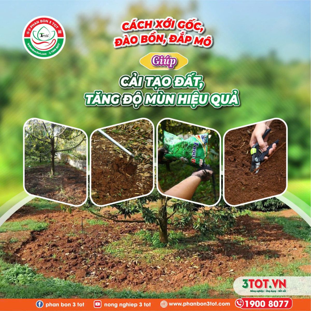 CÁCH XỚI GỐC, ĐÀO BỒN, ĐẮP MÔ GIÚP CẢI TẠO ĐẤT, TĂNG ĐỘ MÙN HIỆU QUẢ CÁCH XỚI GỐC, ĐÀO BỒN, ĐẮP MÔ GIÚP CẢI TẠO ĐẤT, TĂNG ĐỘ MÙN HIỆU QUẢ
