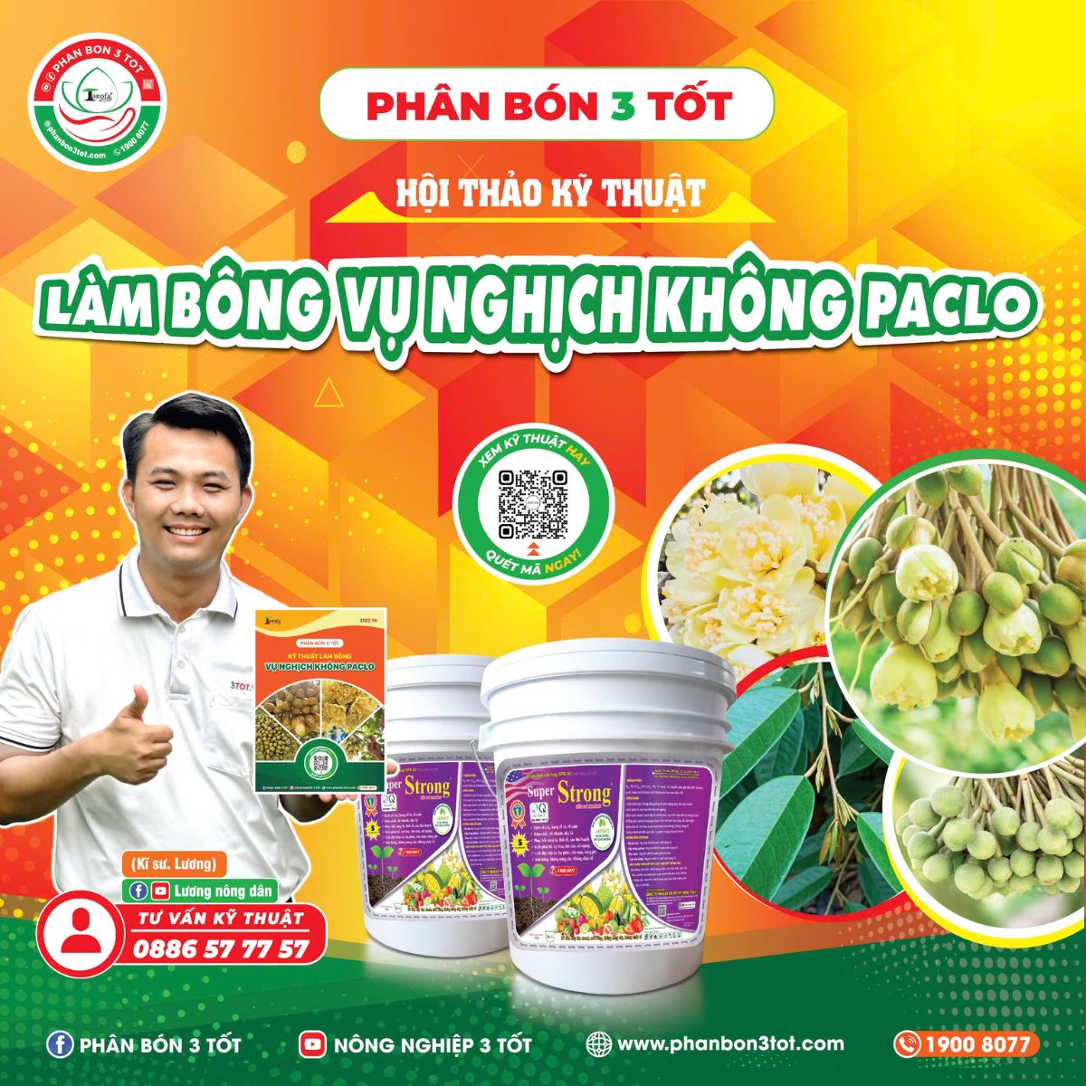 LÀM BÔNG VỤ NGHỊCH KHÔNG PACLO CÙNG NHÀ VƯỜN VĨNH LONG 2025 LÀM BÔNG VỤ NGHỊCH KHÔNG PACLO CÙNG NHÀ VƯỜN VĨNH LONG 2025