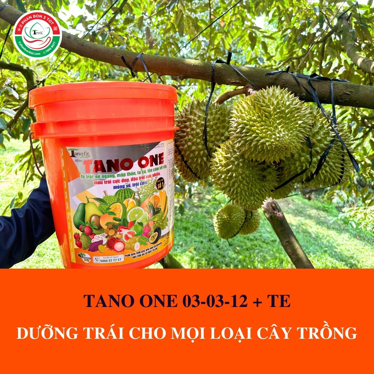 TANO ONE 03-03-12 + TE: DƯỠNG TRÁI HIỆU QUẢ CHO MỌI LOẠI CÂY TRỒNG TANO ONE 03-03-12 + TE: DƯỠNG TRÁI HIỆU QUẢ CHO MỌI LOẠI CÂY TRỒNG