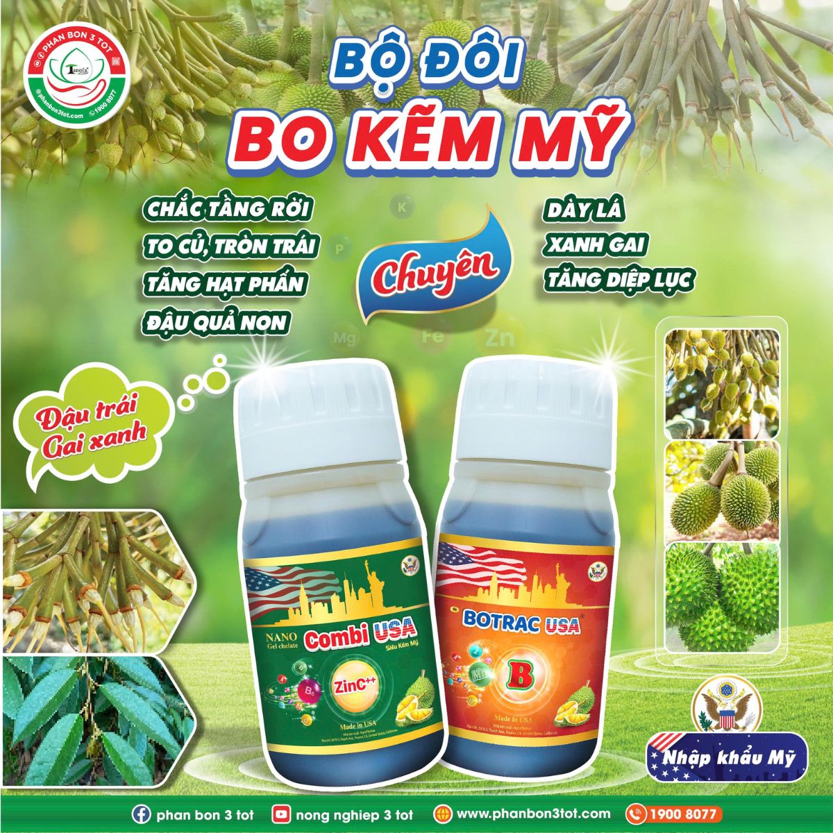 BỘ ĐÔI BO KẼM MỸ: CHẮC TẦNG RỜI – TĂNG ĐẬU TRÁI – XANH GAI