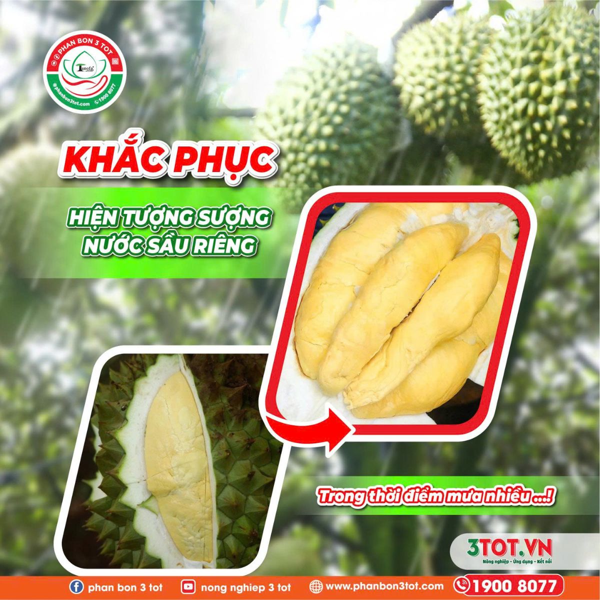 KHẮC PHỤC HIỆN TƯỢNG SƯỢNG NƯỚC TRONG THỜI ĐIỂM MƯA NHIỀU  KHẮC PHỤC HIỆN TƯỢNG SƯỢNG NƯỚC TRONG THỜI ĐIỂM MƯA NHIỀU