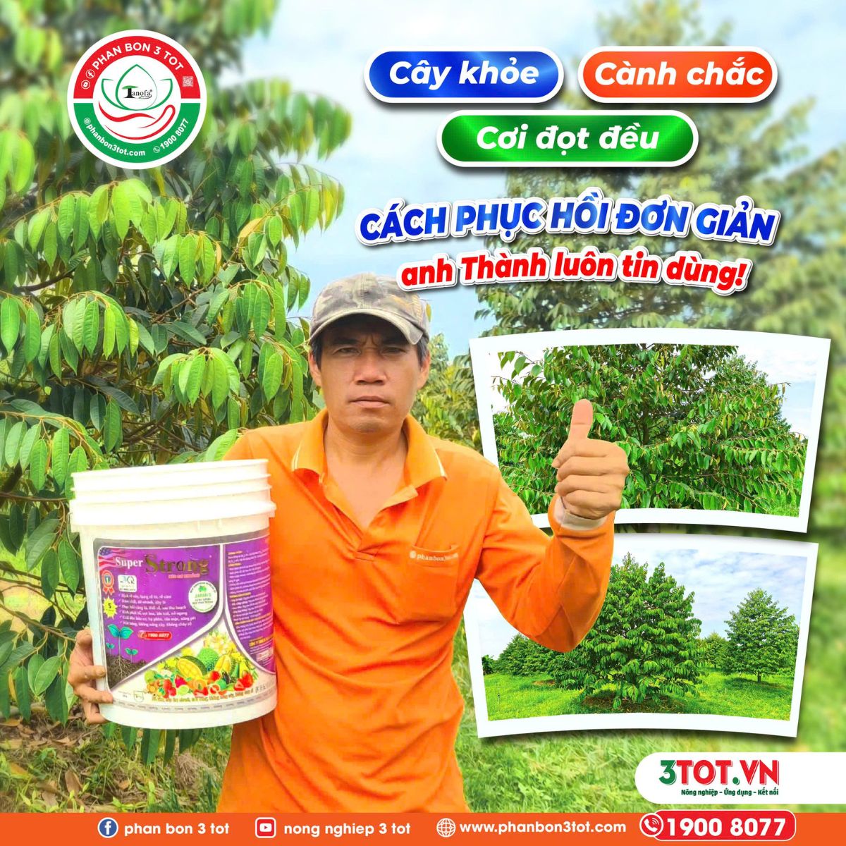 CÂY KHỎE, CƠI ĐỀU – CÁCH ANH THÀNH DƯỠNG CÂY HIỆU QUẢ, KHÔNG TỐN KÉM!