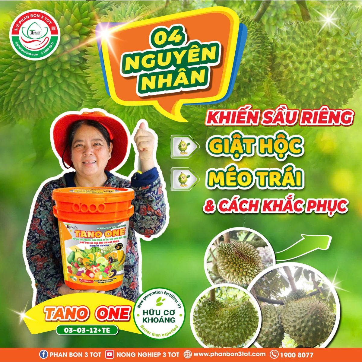 4 NGUYÊN NHÂN KHIẾN SẦU RIÊNG GIẬT HỘC, MÉO TRÁI & CÁCH KHẮC PHỤC 4 NGUYÊN NHÂN KHIẾN SẦU RIÊNG GIẬT HỘC, MÉO TRÁI & CÁCH KHẮC PHỤC