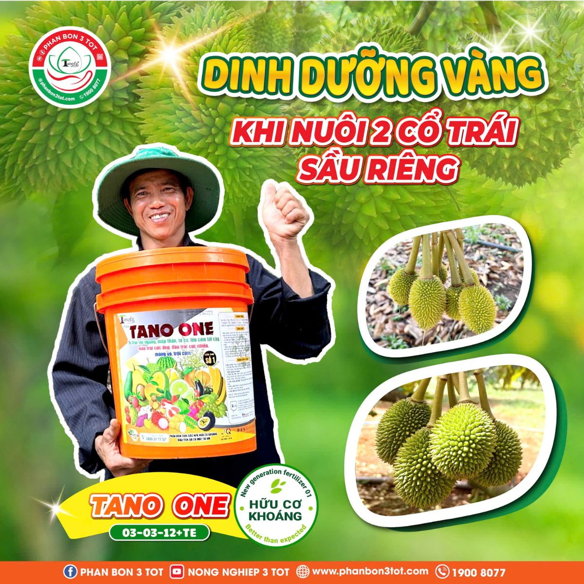 DINH DƯỠNG VÀNG NUÔI SẦU RIÊNG 2 CỔ TRÁI DINH DƯỠNG VÀNG NUÔI SẦU RIÊNG 2 CỔ TRÁI